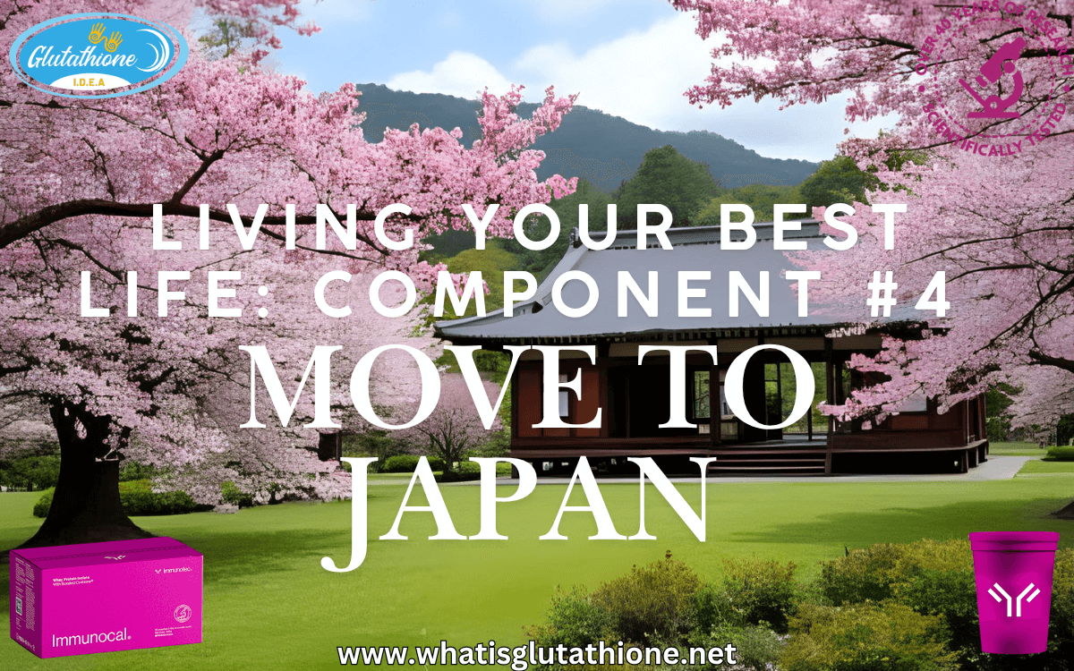 Living Your Best Life: Component #4 – Move to Japan